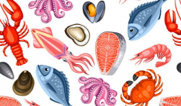 海鲜漫画,海洋生物的趣味演绎