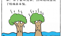 简单漫画故事,奇妙的冒险之旅